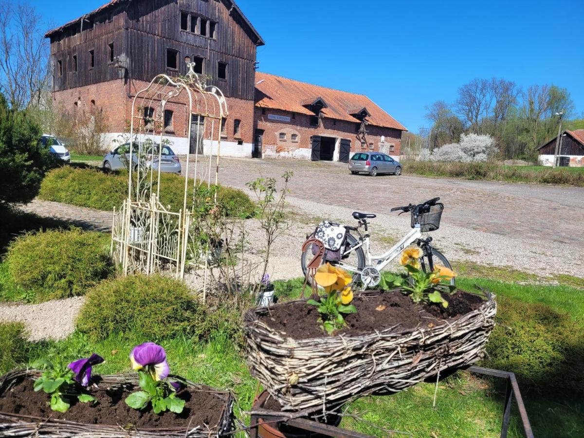 Agroturystyka "Palac W Janowie" Esterno foto